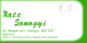 mate somogyi business card